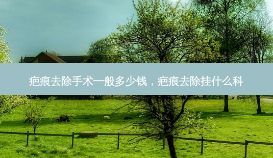 疤痕去除手术一般多少钱,疤痕去除挂什么科-第1张图片-南山整形网 疤痕去除手术一般多少钱,疤痕去除挂什么科-第1张图片-南山整形网