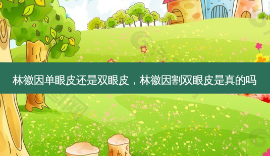 林徽因单眼皮还是双眼皮,林徽因割双眼皮是真的吗-第1张图片-南山整形网 林徽因单眼皮还是双眼皮,林徽因割双眼皮是真的吗-第1张图片-南山整形网