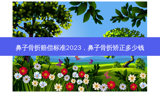 鼻子骨折赔偿标准2023,鼻子骨折矫正多少钱-第1张图片-南山整形网 鼻子骨折赔偿标准2023,鼻子骨折矫正多少钱-第1张图片-南山整形网