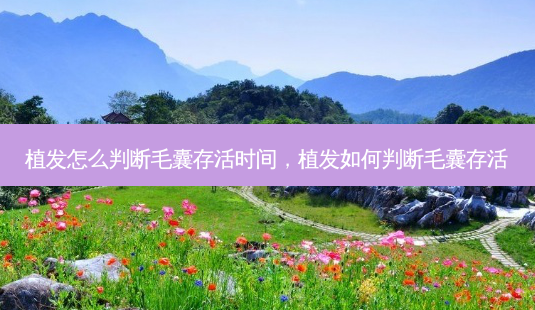 植发怎么判断毛囊存活时间,植发如何判断毛囊存活-第1张图片-南山整形网 植发怎么判断毛囊存活时间,植发如何判断毛囊存活-第1张图片-南山整形网