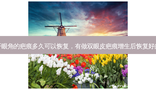 双眼皮开眼角的疤痕多久可以恢复,有做双眼皮疤痕增生后恢复好的吗图片-第1张图片-南山整形网 双眼皮开眼角的疤痕多久可以恢复,有做双眼皮疤痕增生后恢复好的吗图片-第1张图片-南山整形网