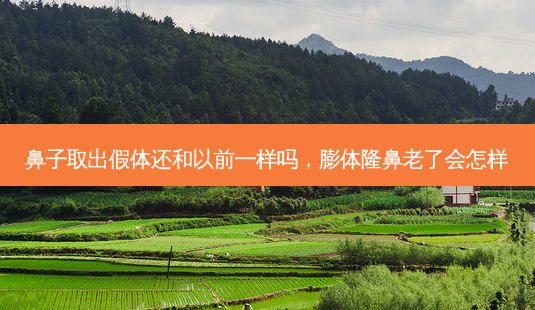 鼻子取出假体还和以前一样吗,膨体隆鼻老了会怎样-第1张图片-南山整形网 鼻子取出假体还和以前一样吗,膨体隆鼻老了会怎样-第1张图片-南山整形网