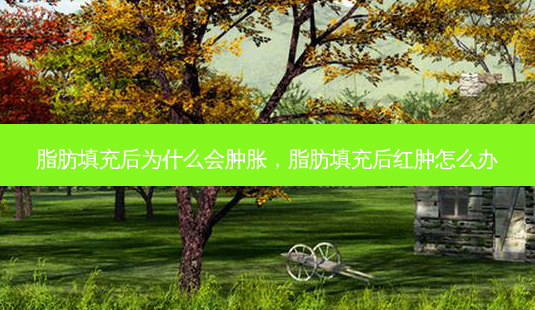 脂肪填充后为什么会肿胀,脂肪填充后红肿怎么办-第1张图片-南山整形网 脂肪填充后为什么会肿胀,脂肪填充后红肿怎么办-第1张图片-南山整形网