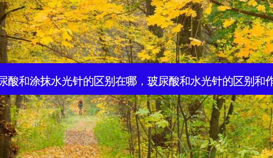 玻尿酸和涂抹水光针的区别在哪,玻尿酸和水光针的区别和作用-第1张图片-南山整形网 玻尿酸和涂抹水光针的区别在哪,玻尿酸和水光针的区别和作用-第1张图片-南山整形网
