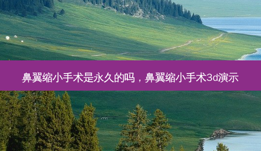 鼻翼缩小手术是永久的吗,鼻翼缩小手术3d演示-第1张图片-南山整形网 鼻翼缩小手术是永久的吗,鼻翼缩小手术3d演示-第1张图片-南山整形网