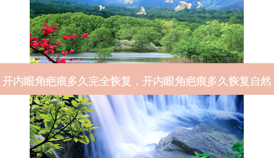 开内眼角疤痕多久完全恢复,开内眼角疤痕多久恢复自然-第1张图片-南山整形网 开内眼角疤痕多久完全恢复,开内眼角疤痕多久恢复自然-第1张图片-南山整形网