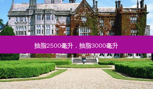 抽脂2500毫升,抽脂3000毫升-第1张图片-南山整形网 抽脂2500毫升,抽脂3000毫升-第1张图片-南山整形网