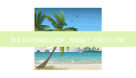 植发后的疤痕怎么去掉,植发掉了 疤痕怎么去除-第1张图片-南山整形网 植发后的疤痕怎么去掉,植发掉了 疤痕怎么去除-第1张图片-南山整形网