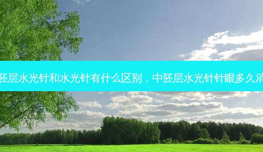 中胚层水光针和水光针有什么区别,中胚层水光针针眼多久消失-第1张图片-南山整形网 中胚层水光针和水光针有什么区别,中胚层水光针针眼多久消失-第1张图片-南山整形网