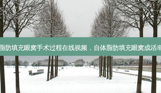 自体脂肪填充眼窝手术过程在线视频,自体脂肪填充眼窝成活率多少-第1张图片-南山整形网 自体脂肪填充眼窝手术过程在线视频,自体脂肪填充眼窝成活率多少-第1张图片-南山整形网