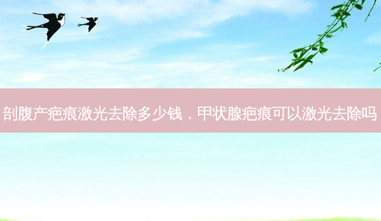 剖腹产疤痕激光去除多少钱,甲状腺疤痕可以激光去除吗-第1张图片-南山整形网 剖腹产疤痕激光去除多少钱,甲状腺疤痕可以激光去除吗-第1张图片-南山整形网