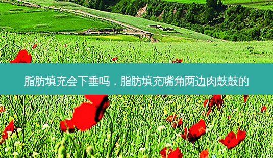 脂肪填充会下垂吗,脂肪填充嘴角两边肉鼓鼓的-第1张图片-南山整形网 脂肪填充会下垂吗,脂肪填充嘴角两边肉鼓鼓的-第1张图片-南山整形网
