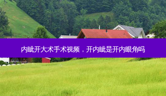 内眦开大术手术视频,开内眦是开内眼角吗-第1张图片-南山整形网 内眦开大术手术视频,开内眦是开内眼角吗-第1张图片-南山整形网