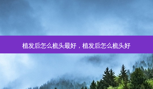 植发后怎么梳头 *** ,植发后怎么梳头好-第1张图片-南山整形网 植发后怎么梳头 *** ,植发后怎么梳头好-第1张图片-南山整形网