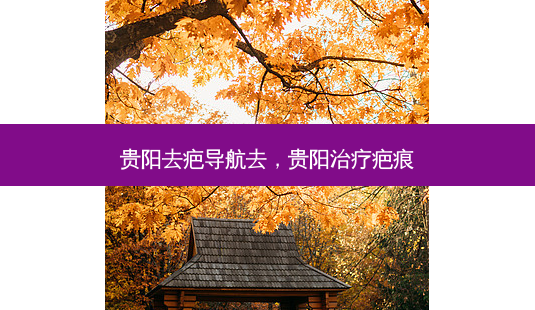 贵阳去疤导航去,贵阳治疗疤痕-第1张图片-南山整形网 贵阳去疤导航去,贵阳治疗疤痕-第1张图片-南山整形网