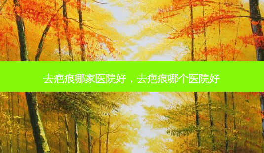 去疤痕哪家医院好,去疤痕哪个医院好-第1张图片-南山整形网 去疤痕哪家医院好,去疤痕哪个医院好-第1张图片-南山整形网