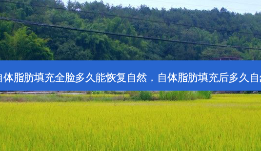 自体脂肪填充全脸多久能恢复自然,自体脂肪填充后多久自然-第1张图片-南山整形网 自体脂肪填充全脸多久能恢复自然,自体脂肪填充后多久自然-第1张图片-南山整形网