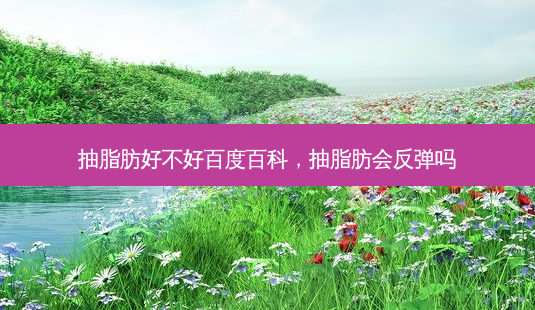 抽脂肪好不好百度百科,抽脂肪会反弹吗-第1张图片-南山整形网 抽脂肪好不好百度百科,抽脂肪会反弹吗-第1张图片-南山整形网