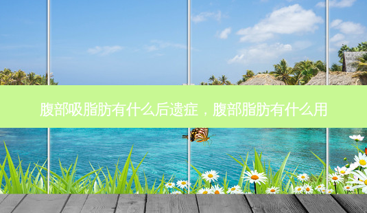 腹部吸脂肪有什么后遗症,腹部脂肪有什么用-第1张图片-南山整形网 腹部吸脂肪有什么后遗症,腹部脂肪有什么用-第1张图片-南山整形网