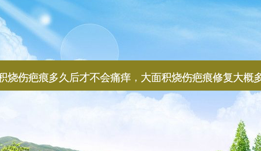 大面积烧伤疤痕多久后才不会痛痒,大面积烧伤疤痕修复大概多少钱-第1张图片-南山整形网 大面积烧伤疤痕多久后才不会痛痒,大面积烧伤疤痕修复大概多少钱-第1张图片-南山整形网