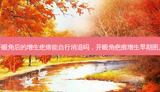 开眼角后的增生疙瘩能自行消退吗,开眼角疤痕增生早期图片-第1张图片-南山整形网 开眼角后的增生疙瘩能自行消退吗,开眼角疤痕增生早期图片-第1张图片-南山整形网