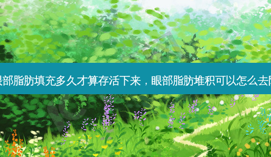 眼部脂肪填充多久才算存活下来,眼部脂肪堆积可以怎么去除-第1张图片-南山整形网 眼部脂肪填充多久才算存活下来,眼部脂肪堆积可以怎么去除-第1张图片-南山整形网