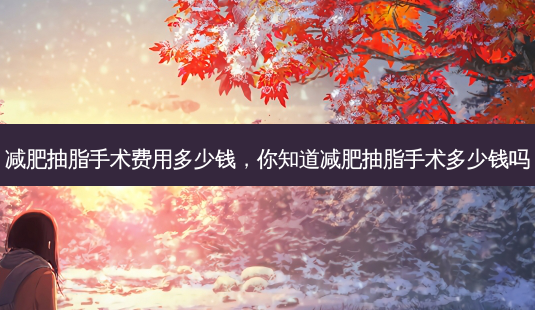 减肥抽脂手术费用多少钱,你知道减肥抽脂手术多少钱吗-第1张图片-南山整形网 减肥抽脂手术费用多少钱,你知道减肥抽脂手术多少钱吗-第1张图片-南山整形网
