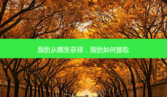 脂肪从哪里获得,脂肪如何摄取-第1张图片-南山整形网 脂肪从哪里获得,脂肪如何摄取-第1张图片-南山整形网