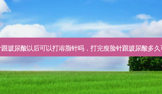 打完瘦脸针跟玻尿酸以后可以打溶脂针吗,打完瘦脸针跟玻尿酸多久可以敷面膜-第1张图片-南山整形网 打完瘦脸针跟玻尿酸以后可以打溶脂针吗,打完瘦脸针跟玻尿酸多久可以敷面膜-第1张图片-南山整形网