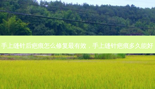 手上缝针后疤痕怎么修复最有效,手上缝针疤痕多久能好-第1张图片-南山整形网 手上缝针后疤痕怎么修复最有效,手上缝针疤痕多久能好-第1张图片-南山整形网