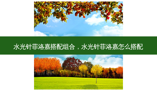 水光针菲洛嘉搭配组合,水光针菲洛嘉怎么搭配-第1张图片-南山整形网 水光针菲洛嘉搭配组合,水光针菲洛嘉怎么搭配-第1张图片-南山整形网