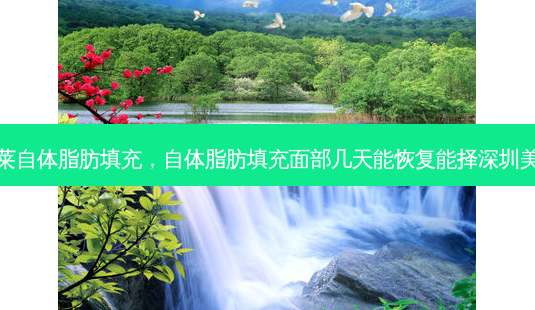 美莱自体脂肪填充,自体脂肪填充面部几天能恢复能择深圳美来-第1张图片-南山整形网 美莱自体脂肪填充,自体脂肪填充面部几天能恢复能择深圳美来-第1张图片-南山整形网