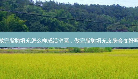 做完脂肪填充怎么样成活率高,做完脂肪填充皮肤会变好吗-第1张图片-南山整形网 做完脂肪填充怎么样成活率高,做完脂肪填充皮肤会变好吗-第1张图片-南山整形网