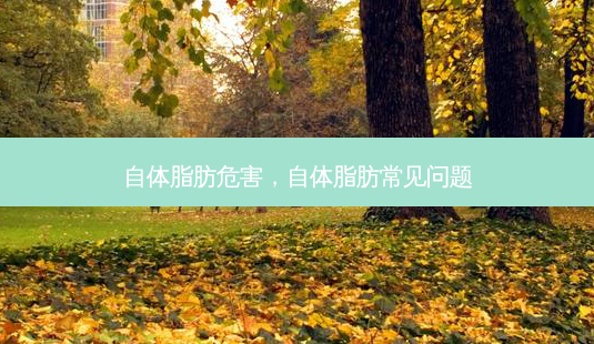 自体脂肪危害,自体脂肪常见问题-第1张图片-南山整形网 自体脂肪危害,自体脂肪常见问题-第1张图片-南山整形网