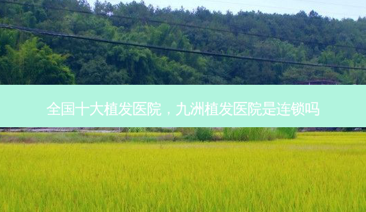 全国十大植发医院,九洲植发医院是连锁吗-第1张图片-南山整形网 全国十大植发医院,九洲植发医院是连锁吗-第1张图片-南山整形网