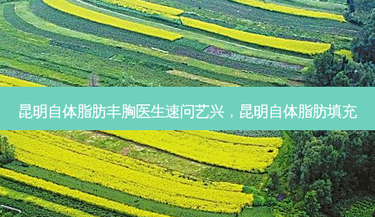 昆明自体脂肪丰胸医生速问艺兴,昆明自体脂肪填充-第1张图片-南山整形网 昆明自体脂肪丰胸医生速问艺兴,昆明自体脂肪填充-第1张图片-南山整形网