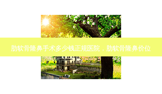 肋软骨隆鼻手术多少钱正规医院,肋软骨隆鼻价位-第1张图片-南山整形网 肋软骨隆鼻手术多少钱正规医院,肋软骨隆鼻价位-第1张图片-南山整形网
