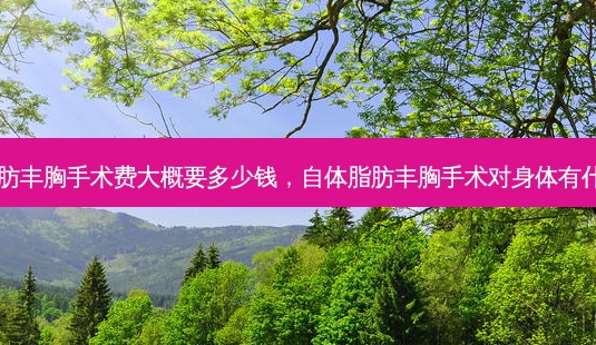 自体脂肪丰胸手术费大概要多少钱,自体脂肪丰胸手术对身体有什么影响-第1张图片-南山整形网 自体脂肪丰胸手术费大概要多少钱,自体脂肪丰胸手术对身体有什么影响-第1张图片-南山整形网