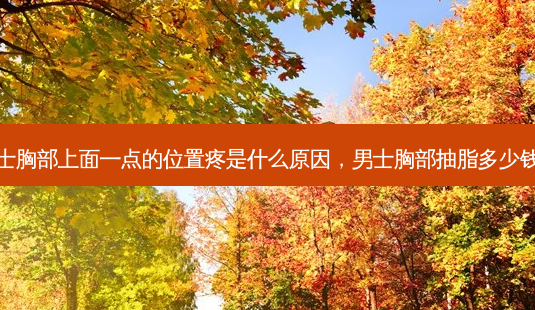 男士胸部上面一点的位置疼是什么原因,男士胸部抽脂多少钱啊-第1张图片-南山整形网 男士胸部上面一点的位置疼是什么原因,男士胸部抽脂多少钱啊-第1张图片-南山整形网