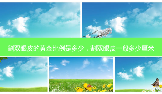 割双眼皮的黄金比例是多少,割双眼皮一般多少厘米-第1张图片-南山整形网 割双眼皮的黄金比例是多少,割双眼皮一般多少厘米-第1张图片-南山整形网