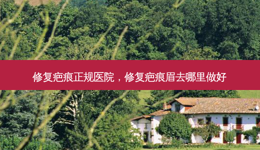 修复疤痕正规医院,修复疤痕眉去哪里做好-第1张图片-南山整形网 修复疤痕正规医院,修复疤痕眉去哪里做好-第1张图片-南山整形网