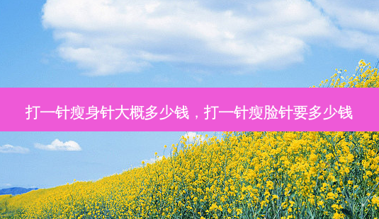 打一针瘦身针大概多少钱,打一针瘦脸针要多少钱-第1张图片-南山整形网 打一针瘦身针大概多少钱,打一针瘦脸针要多少钱-第1张图片-南山整形网