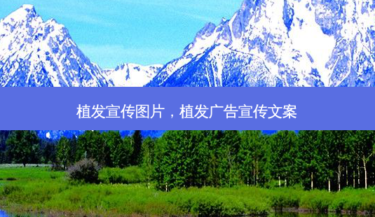 植发宣传图片,植发广告宣传文案-第1张图片-南山整形网 植发宣传图片,植发广告宣传文案-第1张图片-南山整形网