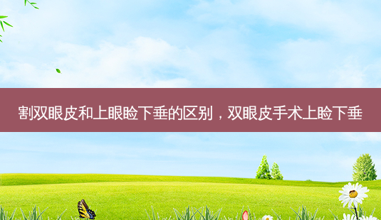 割双眼皮和上眼睑下垂的区别,双眼皮手术上睑下垂-第1张图片-南山整形网 割双眼皮和上眼睑下垂的区别,双眼皮手术上睑下垂-第1张图片-南山整形网