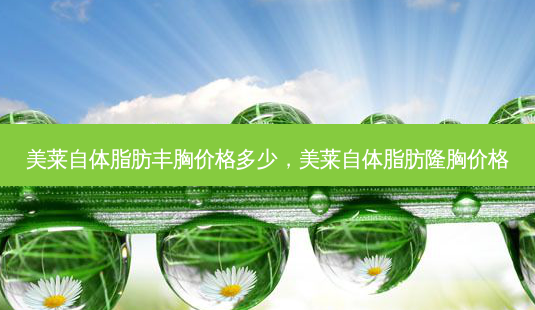 美莱自体脂肪丰胸价格多少,美莱自体脂肪隆胸价格-第1张图片-南山整形网 美莱自体脂肪丰胸价格多少,美莱自体脂肪隆胸价格-第1张图片-南山整形网