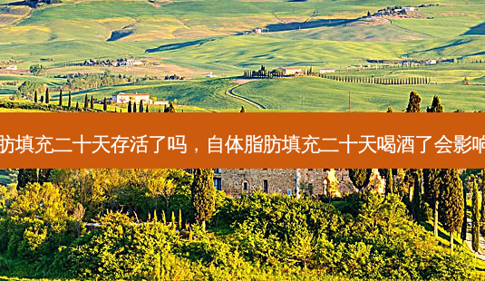 自体脂肪填充二十天存活了吗,自体脂肪填充二十天喝酒了会影响效果吗-第1张图片-南山整形网 自体脂肪填充二十天存活了吗,自体脂肪填充二十天喝酒了会影响效果吗-第1张图片-南山整形网