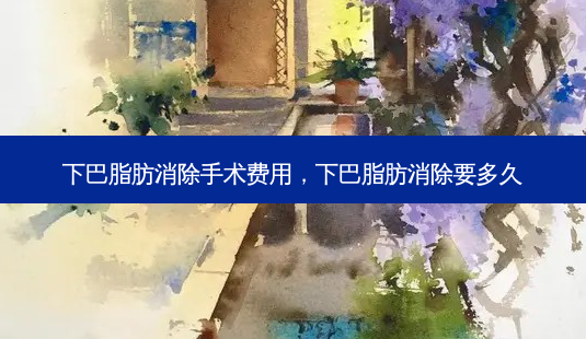 下巴脂肪消除手术费用,下巴脂肪消除要多久-第1张图片-南山整形网 下巴脂肪消除手术费用,下巴脂肪消除要多久-第1张图片-南山整形网