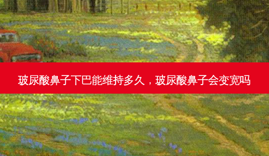 玻尿酸鼻子下巴能维持多久,玻尿酸鼻子会变宽吗-第1张图片-南山整形网 玻尿酸鼻子下巴能维持多久,玻尿酸鼻子会变宽吗-第1张图片-南山整形网