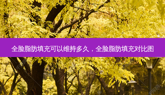 全脸脂肪填充可以维持多久,全脸脂肪填充对比图-第1张图片-南山整形网 全脸脂肪填充可以维持多久,全脸脂肪填充对比图-第1张图片-南山整形网