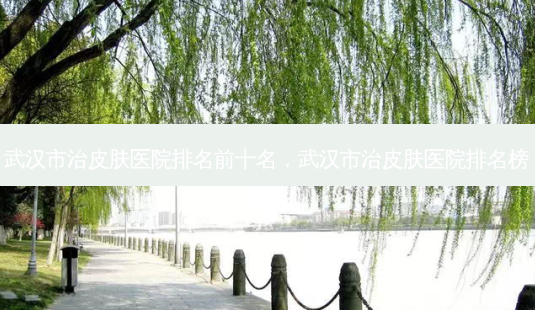 武汉市治皮肤医院排名前十名,武汉市治皮肤医院排名榜-第1张图片-南山整形网 武汉市治皮肤医院排名前十名,武汉市治皮肤医院排名榜-第1张图片-南山整形网